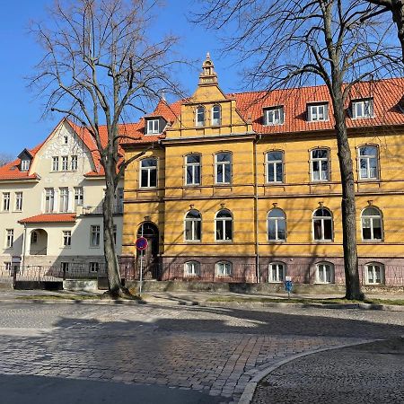 Apartment Zur Wiege Anhalts Ballenstedt Eksteriør bilde