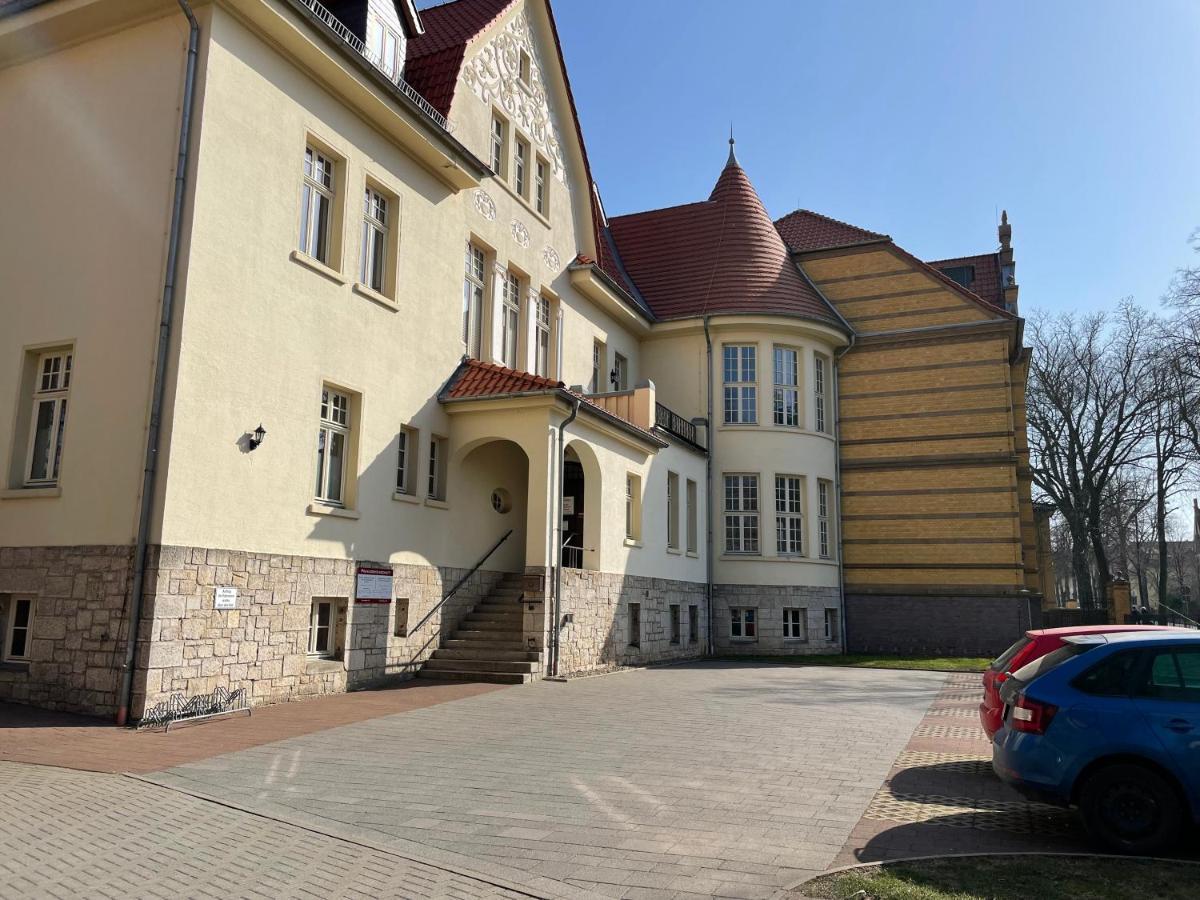 Apartment Zur Wiege Anhalts Ballenstedt Eksteriør bilde